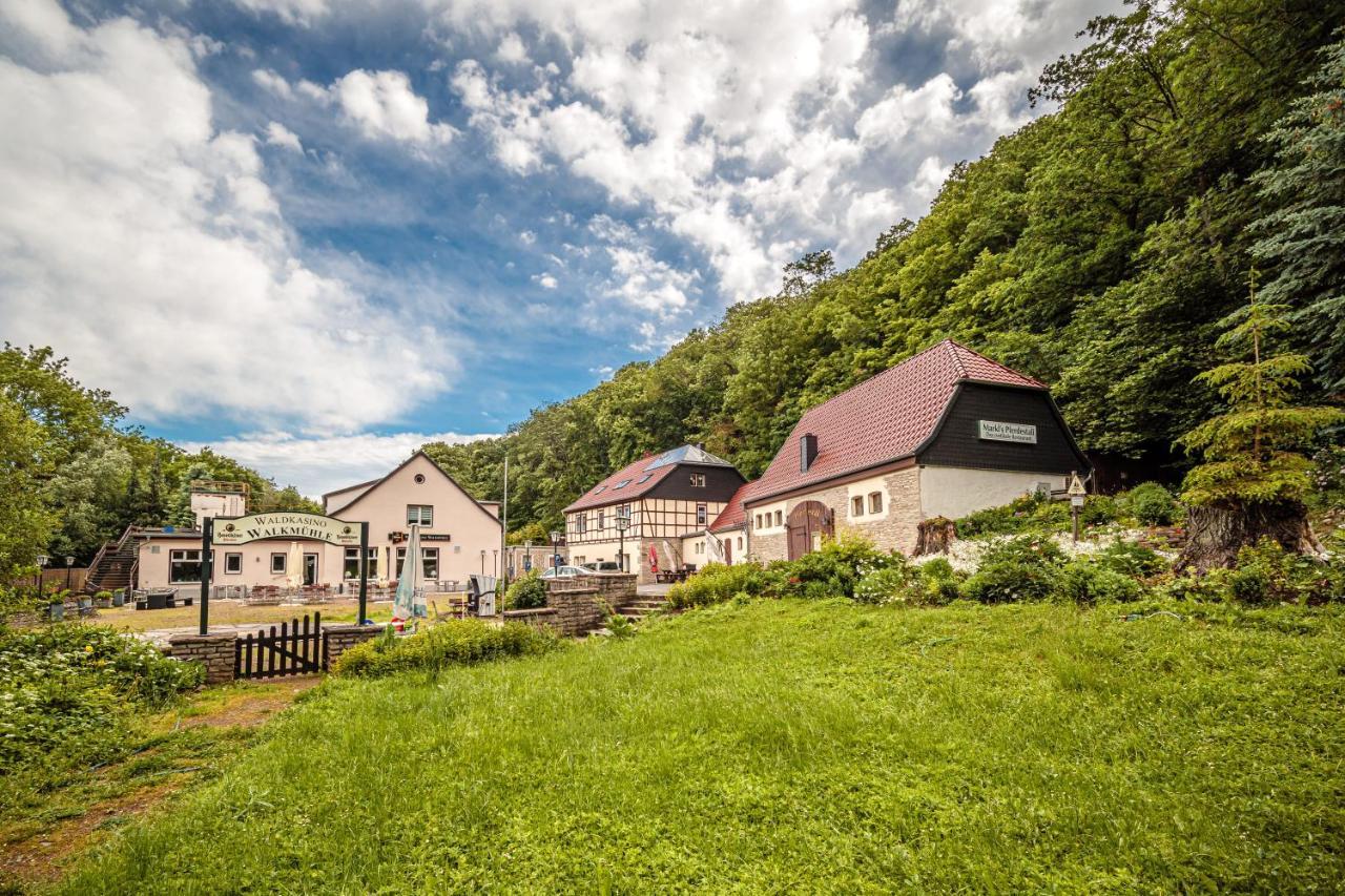 Pension Walkmuehle Sangerhausen Buitenkant foto